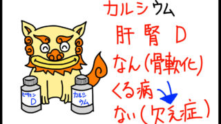 衛生学におけるビタミンD特徴ゴロイラスト